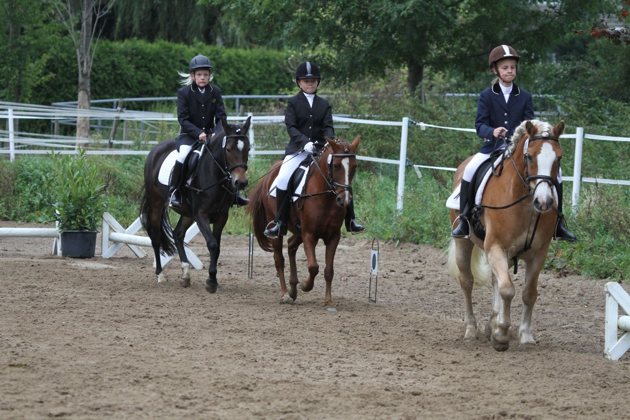 Bild 1046 - WBO-Turnier am 18.9.11